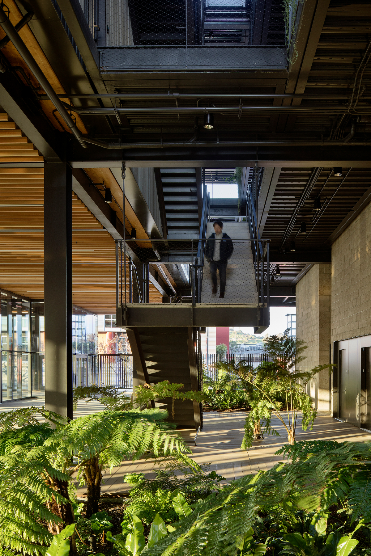 Landscaped Courtyard