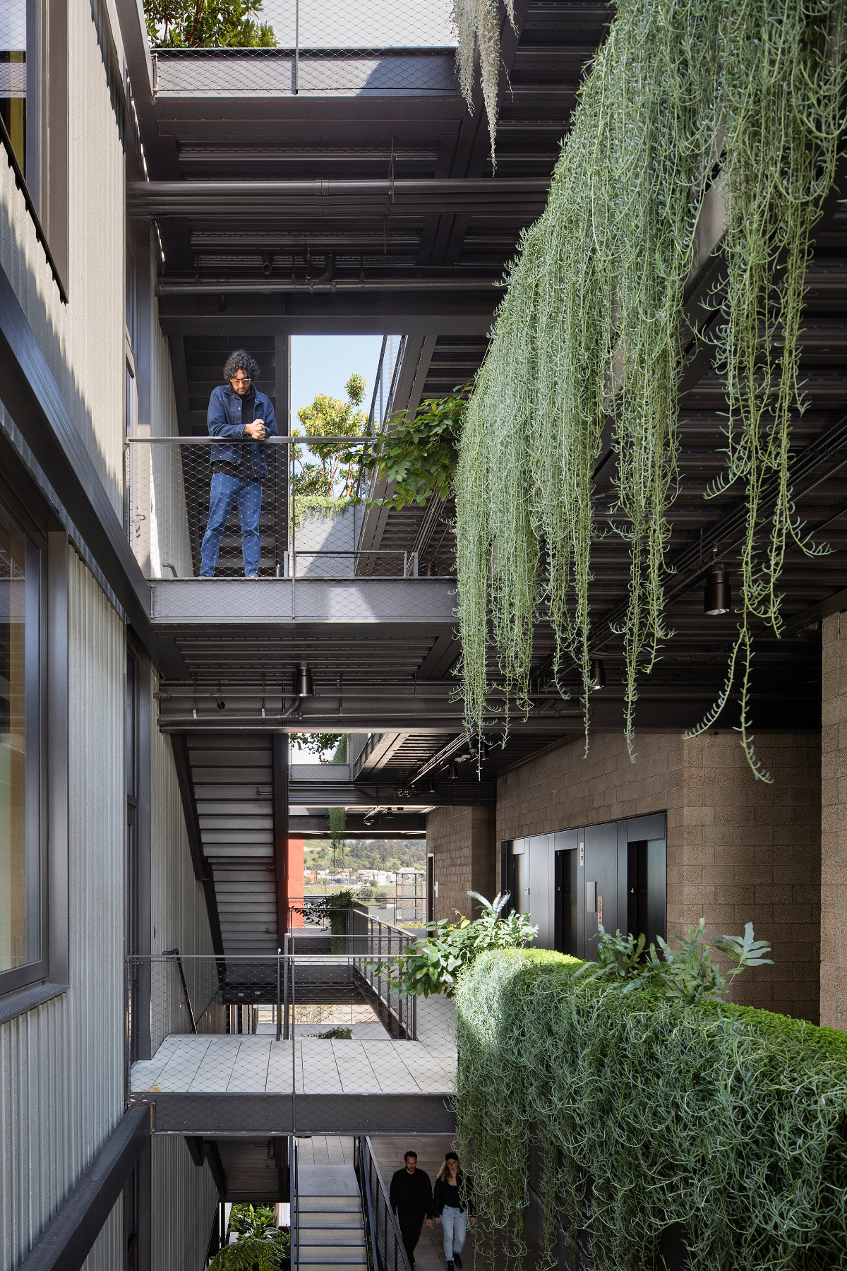 Landscaped Courtyard