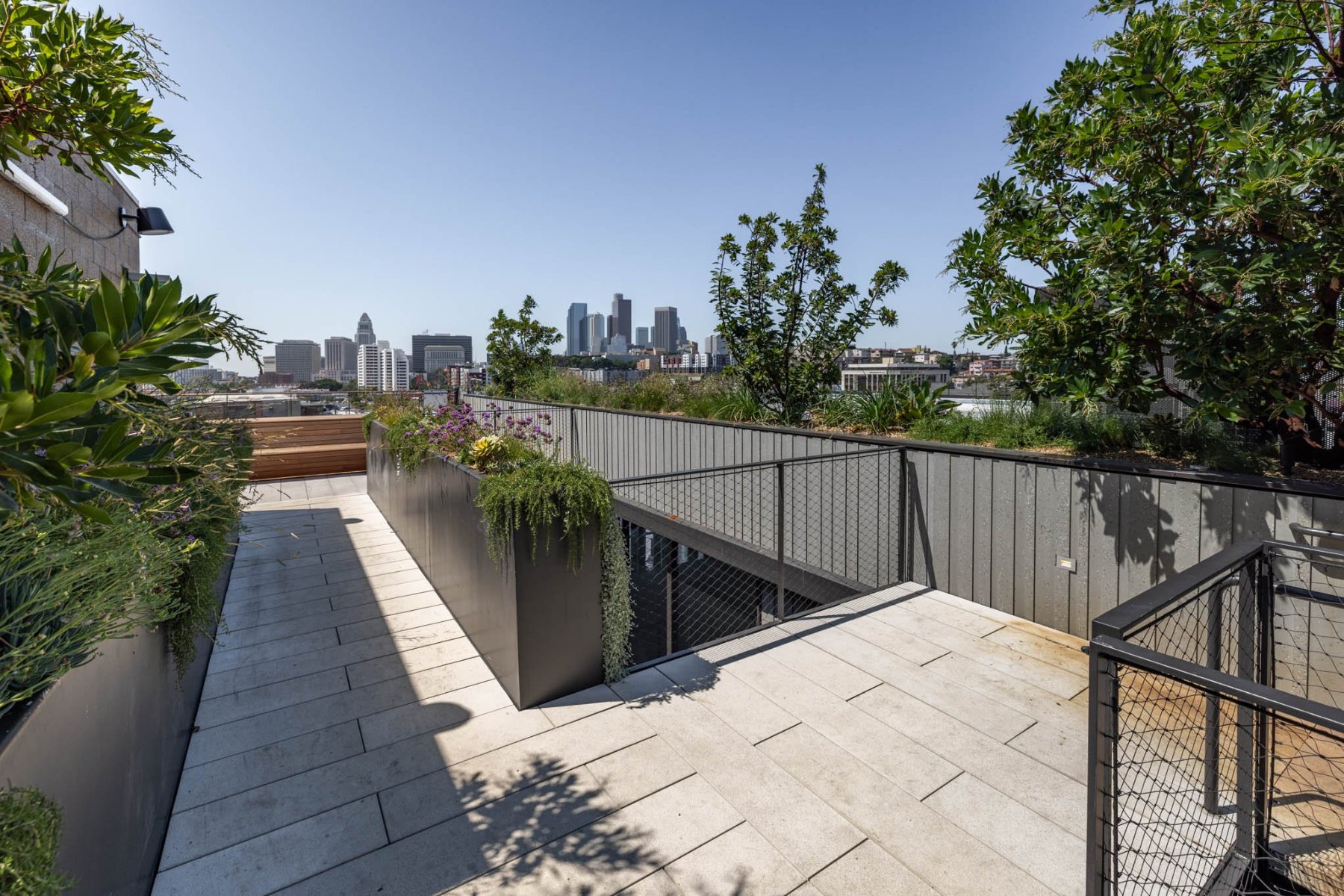 Rooftop Deck & Balconies