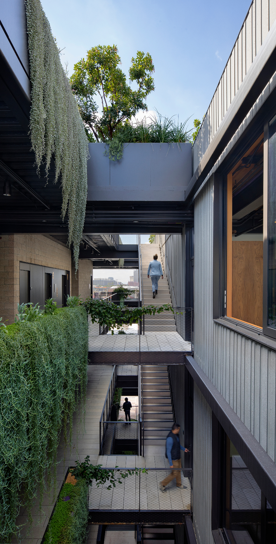 Landscaped Courtyard